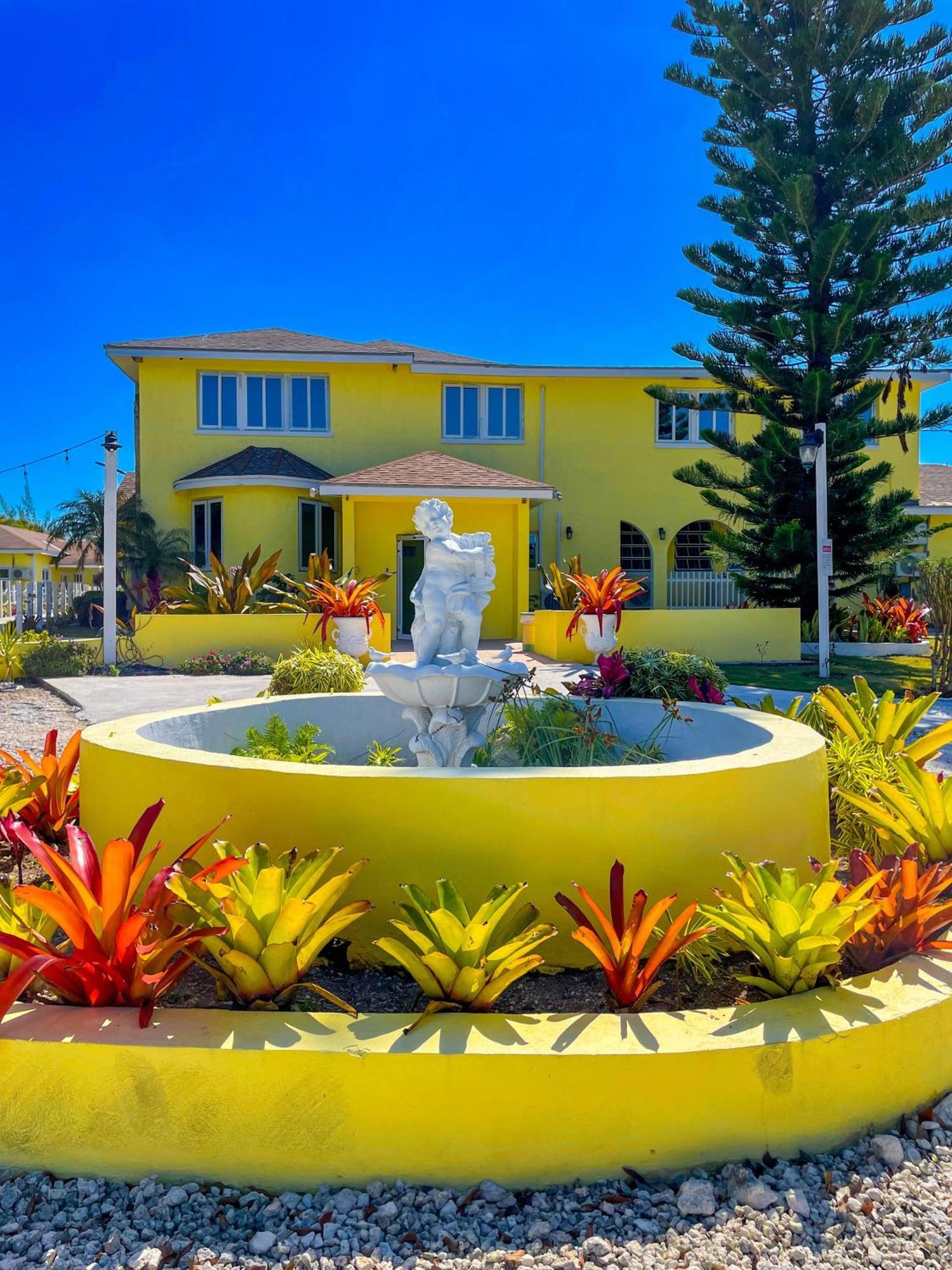 Golden Palms House Bed & Breakfast Nassau Dış mekan fotoğraf