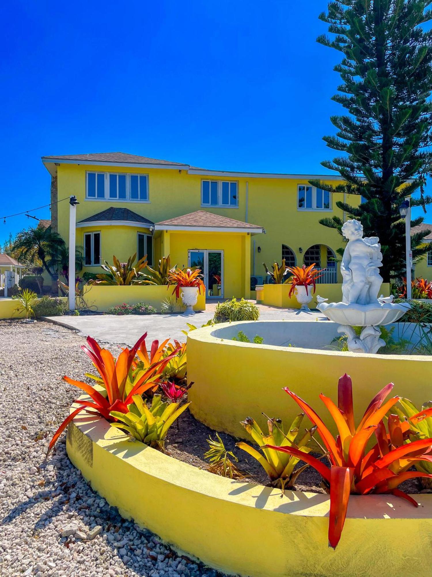 Golden Palms House Bed & Breakfast Nassau Dış mekan fotoğraf